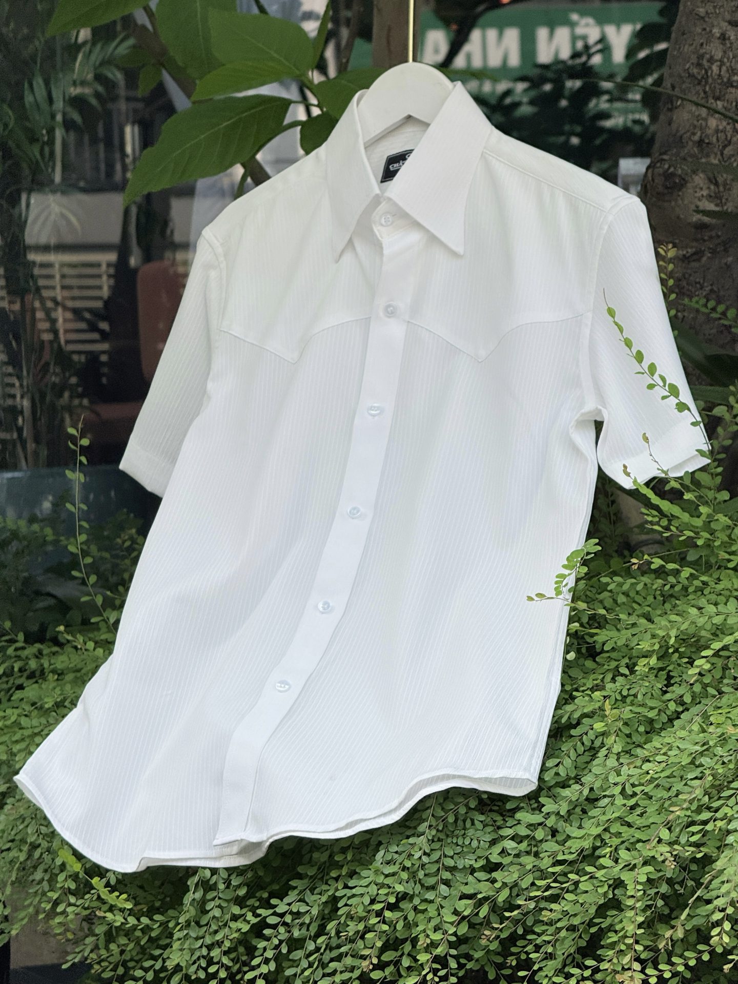 SƠ MI CỘC TAY TRẮNG